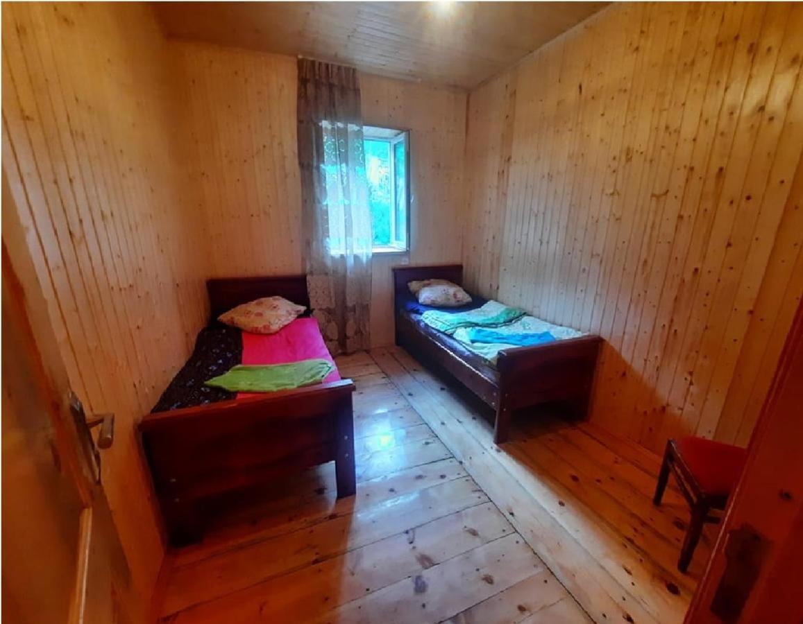 Nino & Tarzan Guesthouse Adishi Exterior photo